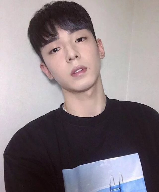 舒飞军强