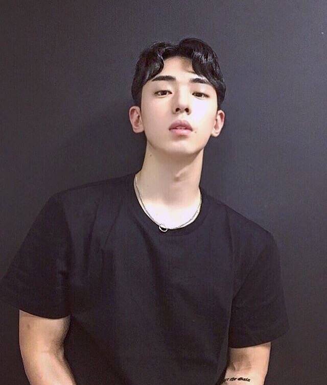 公孙生丽茗