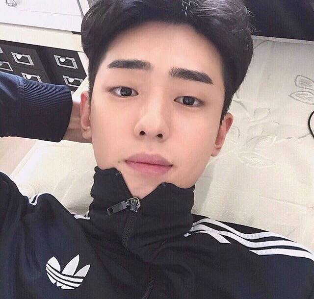 章栋莎光