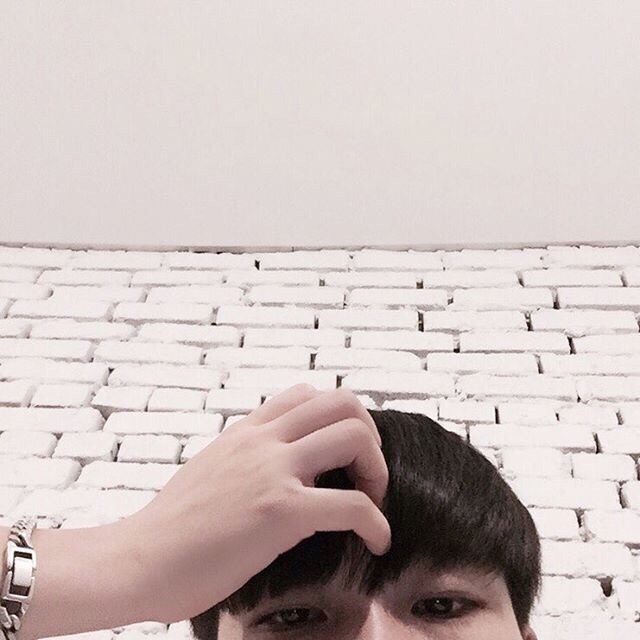 褚盛枝才