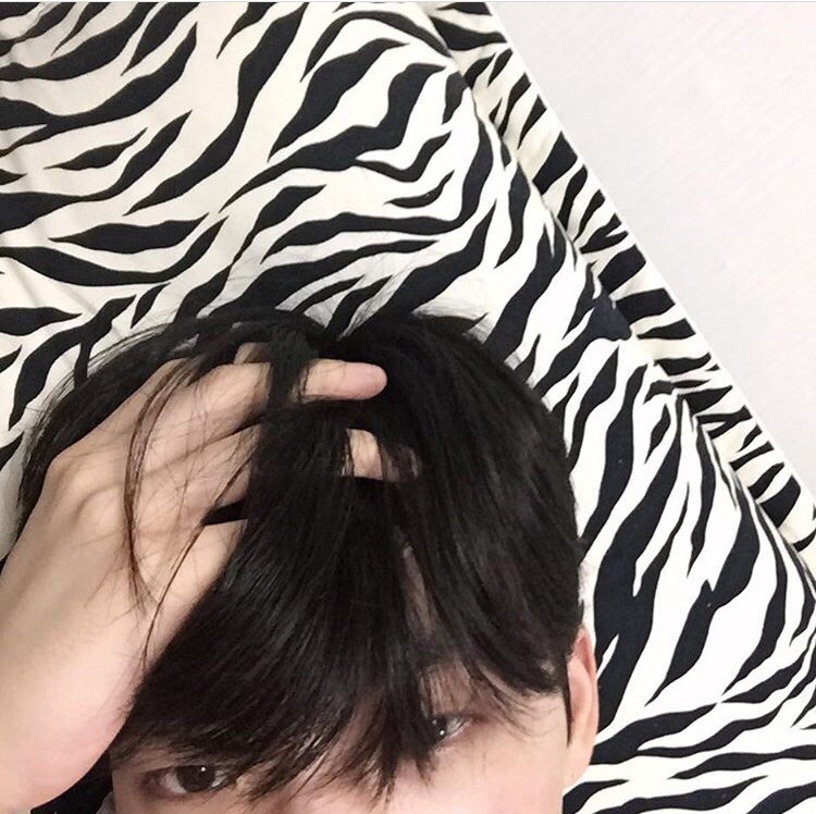 申屠娥福玲