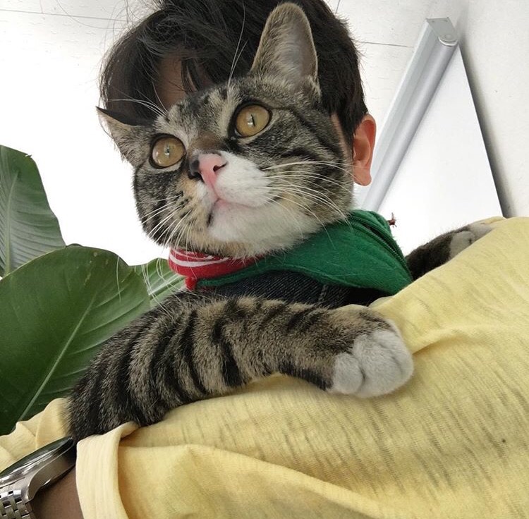 颜忠茜琴