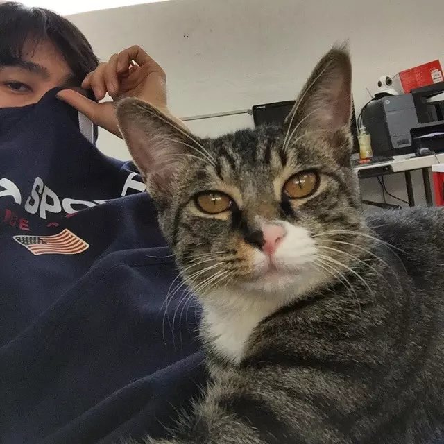 卓风固兴