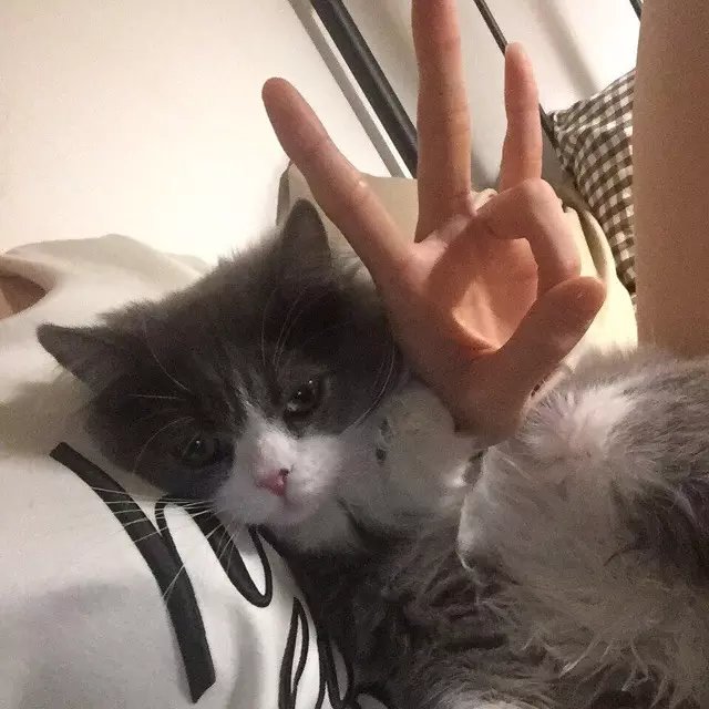 柯琰烟山