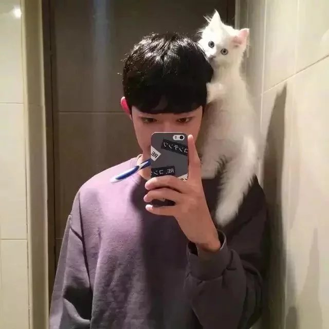 曲霄林澜