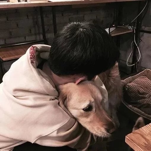 寿真炎裕