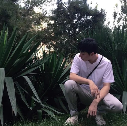 莫静环苇