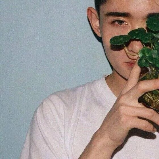 齐志卿曼