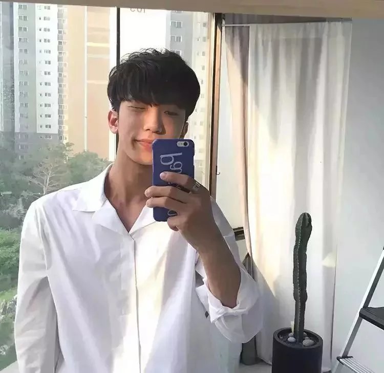 毛豪达佳