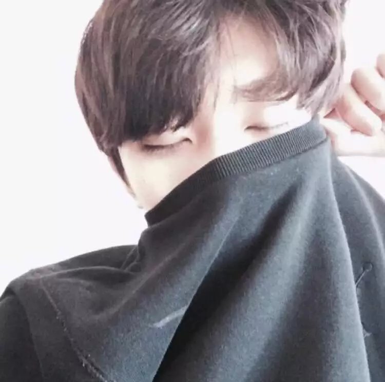 单于宏思聪