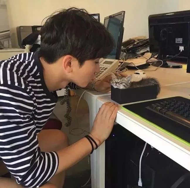 戴德奇仪